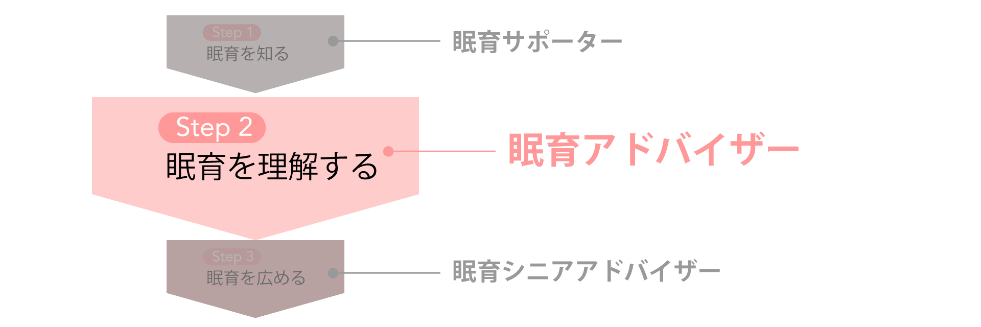 講座のご案内